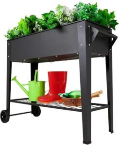 Tall Raised Garden Bed Outdoor