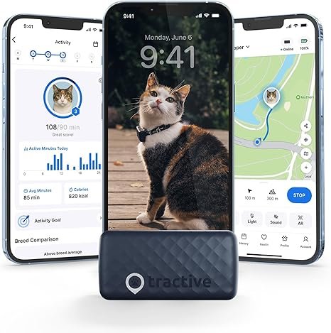 Smart Cat GPS Tracker