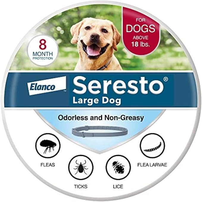 Large Dog Vet-Recommended